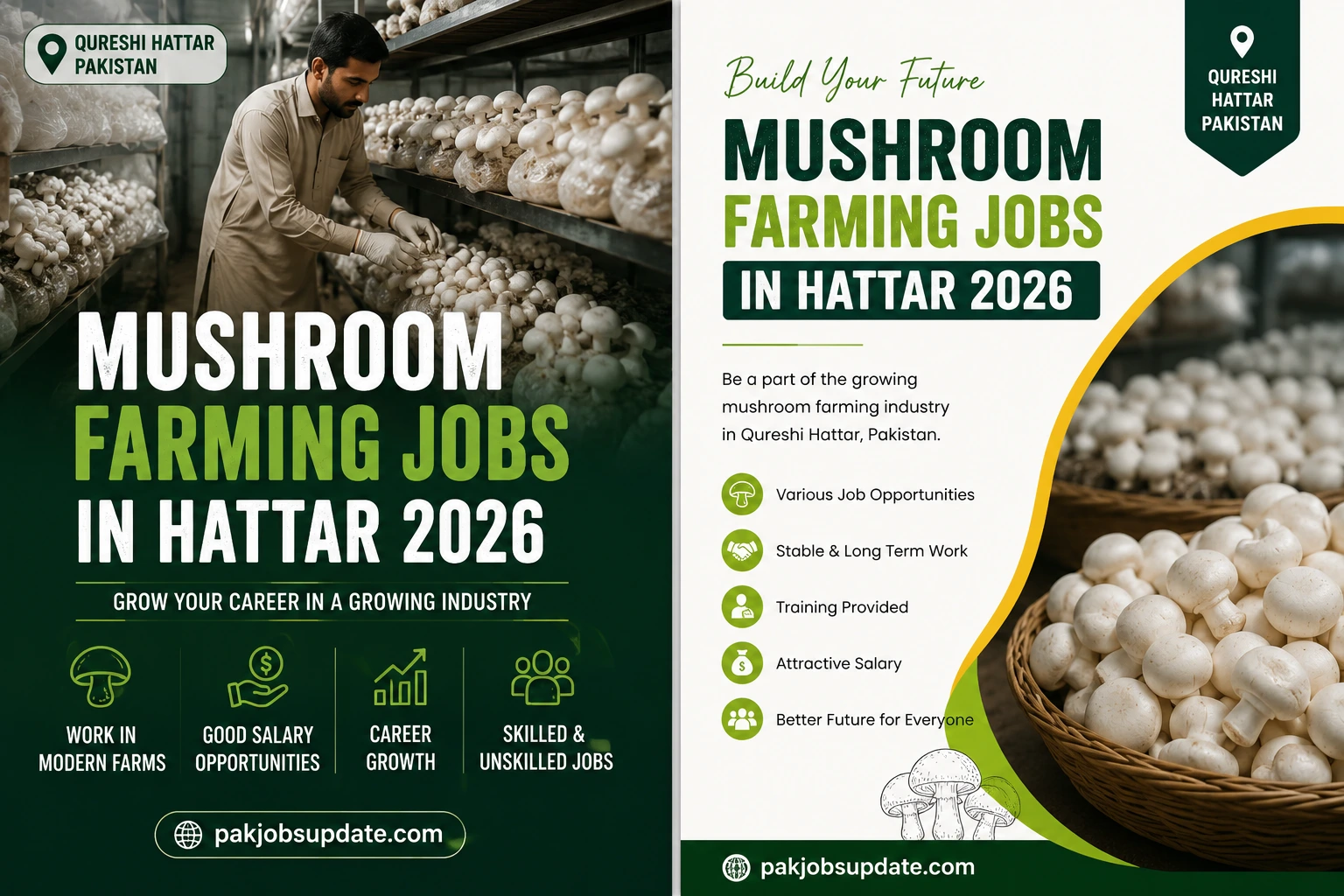 Executive Best Mushroom Farming Jobs in Hattar 2026